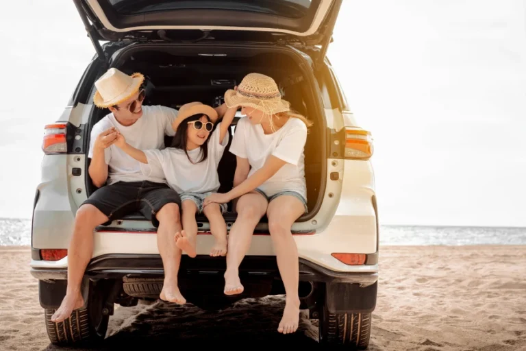 Car Trunk Organizer